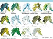 siguiente página →