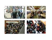 siguiente página →